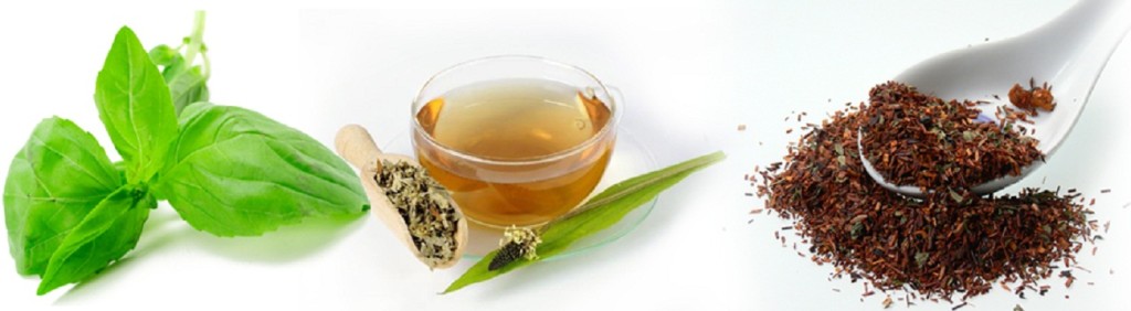 Organic-Herbs-banner-1024x282